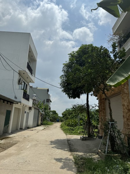 Bán đất Đấu trúng đấu giá xóm Đường