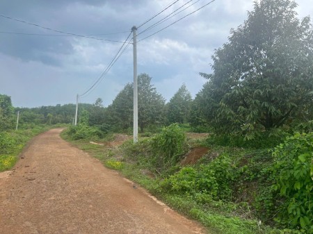 Cần bán đất gấp khu vực Đồng Phú diện tích 1000m2 giá chỉ 3xxtr