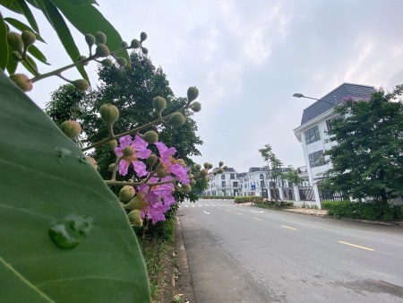 Duy nhất một căn biệt thự 375m2 tại HUD Mê Linh, gần công viên, view đẹp, giá chỉ 45.6tr/m2