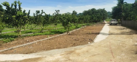 Đi đến slide 8