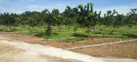 Đi đến slide 7