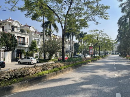Bán Biệt thự D2 Ciputra yên tĩnh,gần đường đôi, hướng Tây Nam, giá 310tr/m2