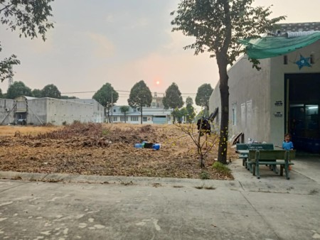 Chính Chủ Cần Bán Lô Đất 300m2(10x30m) Gồm 2 lô Liền Kề, Sổ Hồng Riêng, MT Đường 8m, Gần Chợ