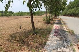 Bán Đất mặt tiền 6m phường Phú Hữu, Quận 9, TP. Hồ Chí Minh