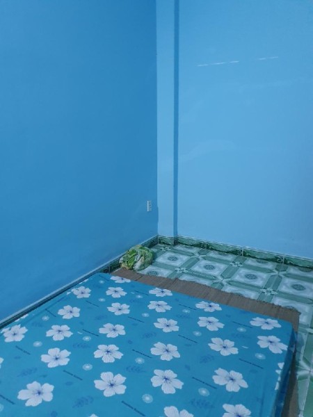 Bán nhà 65m2 Hẻm Xe hơi thông, Ngang 5m, ngay Bv Lê Văn Thịnh, Quận 2 giá 4,8 tỷ