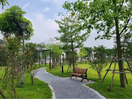 Đi đến slide 2