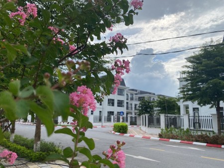 Đi đến slide 8