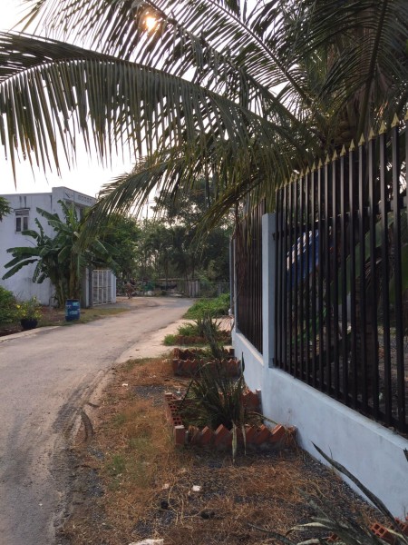 Đất thổ cư toàn bộ, nằm ngay MT đường xe hơi quay đầu. xã TTĐông, CChi gần chợ HócMôn. 12x30m. 5.2T