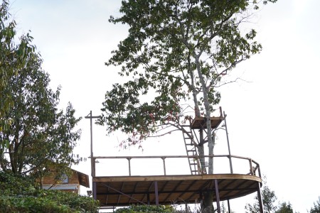 Đi đến slide 5