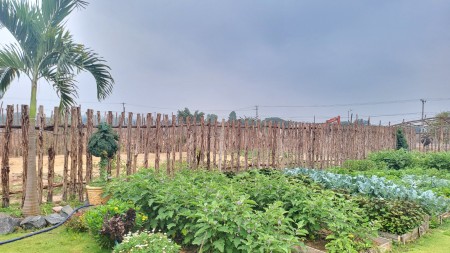 Village biển hồ pháp lý hoàn chỉnh, sổ đỏ trao tay.