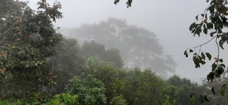 Đi đến slide 7