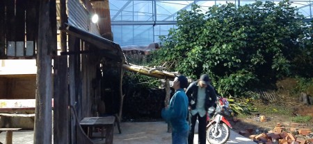 Đi đến slide 3