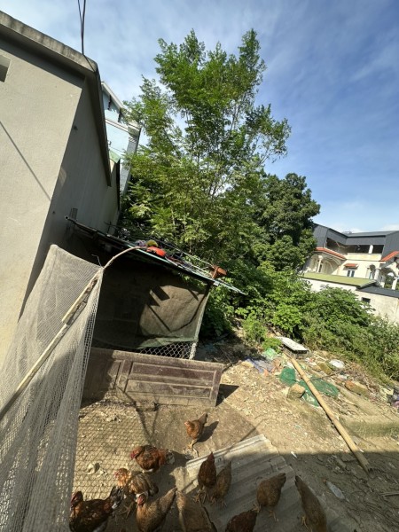 Đi đến slide 8