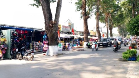 Đi đến slide 6
