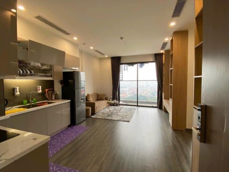 Không có nhu cầu sử dụng cần bán căn 1N+1 .Diện tích 53m2. Giá Chỉ 2 tỷ tại Vinhomes Ocean Park.