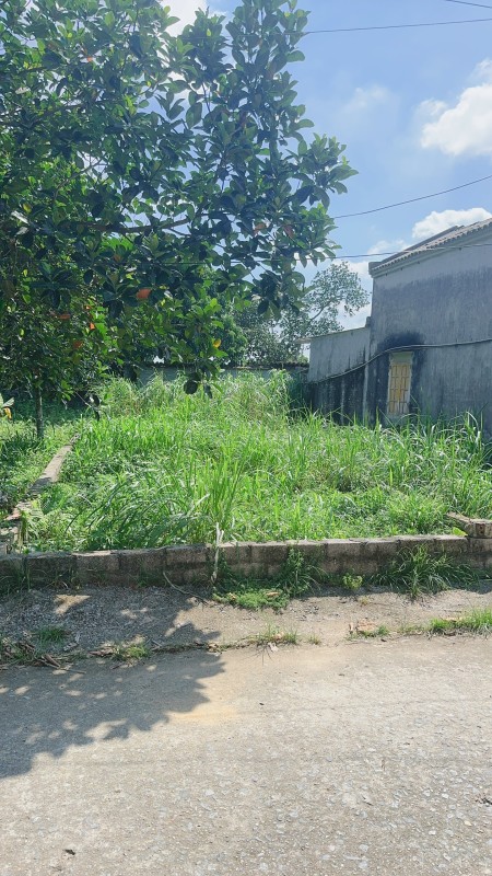 Bán 90m - Sổ Đỏ Hà Nội - Đầu Tư - Xây Nhà Vườn - Đường To Thông Rộng Giá 850tr
