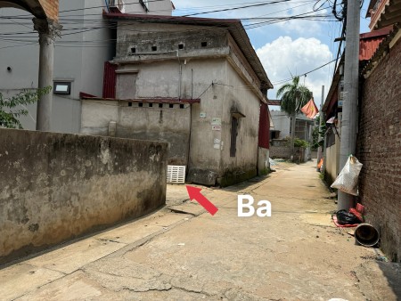 Vin cổ loa Xuân Canh Đông Anh Hà Nội, Diện Tích 60M, Liên hệ 0981696663