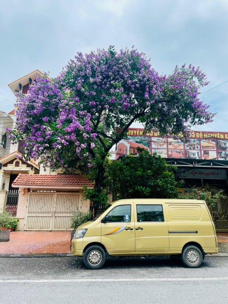 Đi đến slide 8