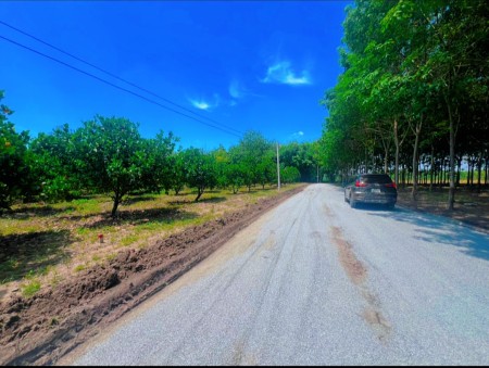 cần bán 2 lô đất vị trí đẹp liên hệ ngay 0965161614 để biết thêm chi tiết và xem đất miễn phí nhé