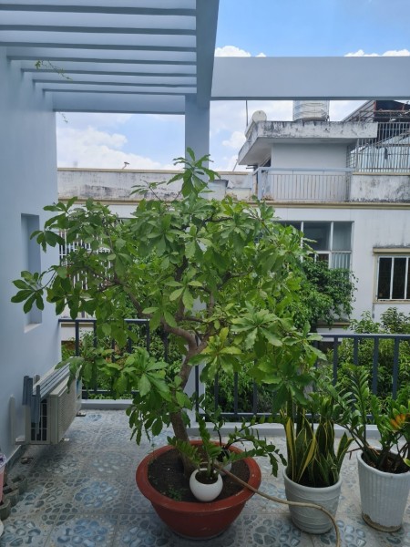 Đi đến slide 10