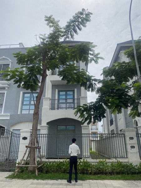 30 triệu thuê ngay biệt thự 200m2 Hoàn thiện cơ bản tại Vinhomes Grand Park ở và kinh doanh ngay