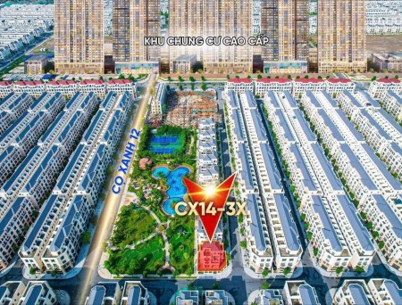 BT Đơn Lập siêu đẹp 3 mặt tiền view bể bơi, vườn hoa Vinhomes Oean Park 2 giá 3x tỷ