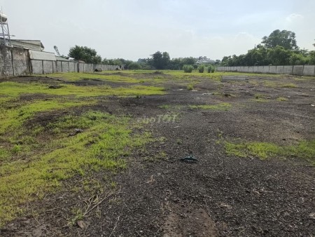 Cho thuê đất 10.000m2 gần Vòng xoay cổng 11, Biên Hoà, Đồng Nai