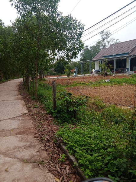 Chính chủ cần bán lô đất thôn Phú Hưng xã Hải Phú gần La Vang