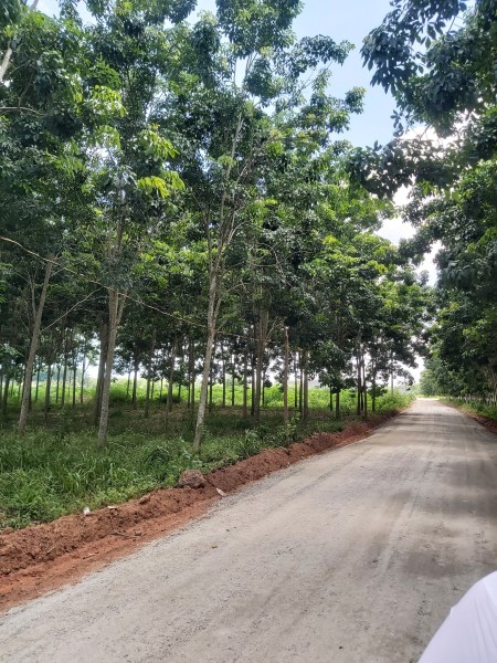 Đi đến slide 6