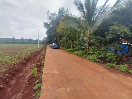 VỊ TRÍ QUÁ ĐẸP 3006M2 KẾ BÊN THCS TÂN HƯNG 59M MẶT TIỀN CHỐT CHỈ 375TR SẴN SỔ