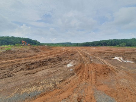có vườn mít 500m2 cần ra gấp, ngộp ngộp ngộp