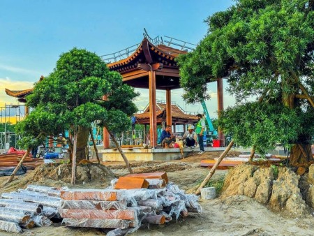 Đi đến slide 5