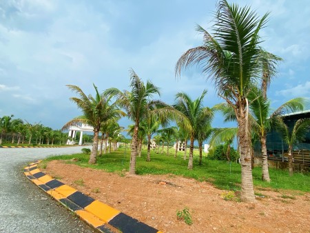 Đi đến slide 2