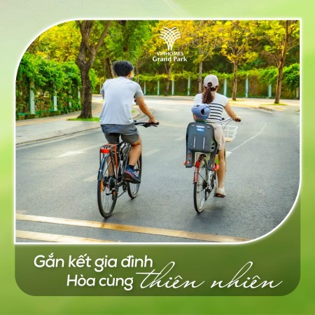 Đi đến slide 12