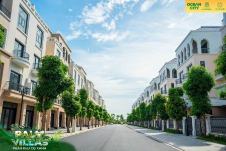 MUA BÁN BIỆT THỰ DƯỚI 10 TỶ TẠI OCEAN PARK 2,3