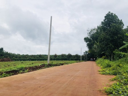 LÀM VIỆC CHÍNH CHỦ CẦN BÁN 3525m2 ĐẤT TRỒNG CÂY GIÁ 730tr VIEW SÔNG SẴN SỔ