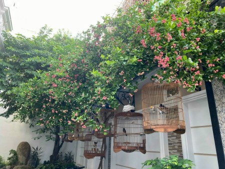 Đi đến slide 3