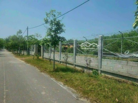 Đi đến slide 8