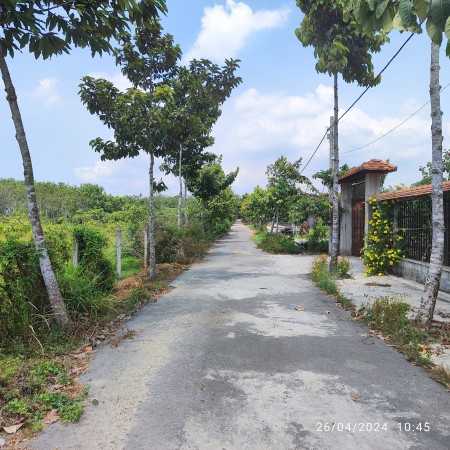 Đi đến slide 7