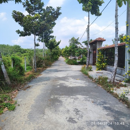 Đi đến slide 6