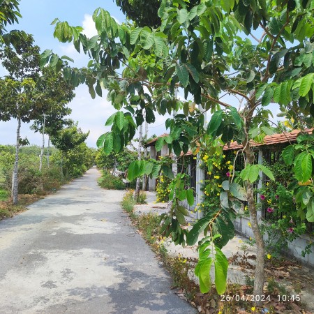 Đi đến slide 4