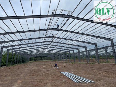 Bán/ Cho thuê nhà xưởng mới xây dựng diện tích 5.000-15.000m2 ở Phú Giáo, Bình Dương