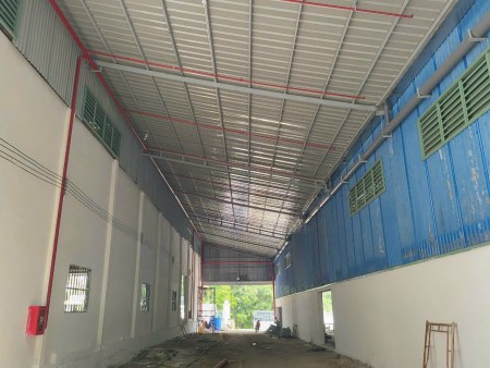 Cho Thuê 3000m2 Xưởng Mới Bến Cát Bình Dương Giá 250tr Giấy Tờ Đầy Đủ