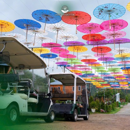 Đi đến slide 5