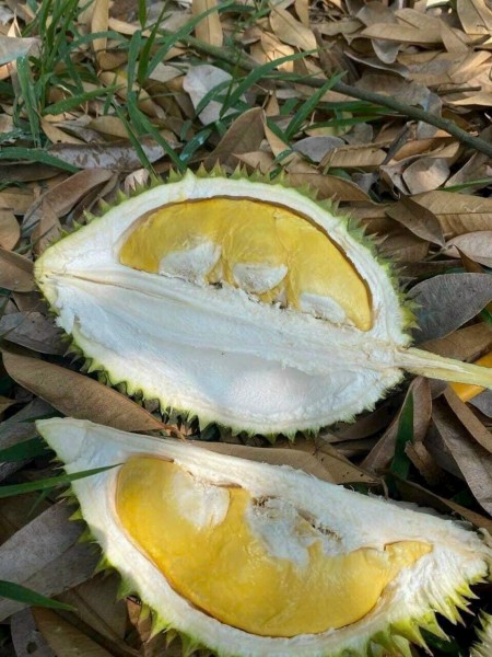 Đi đến slide 7