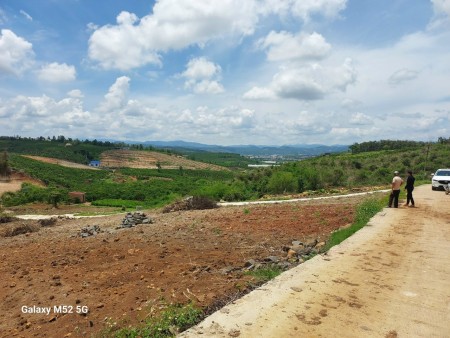 Đi đến slide 6