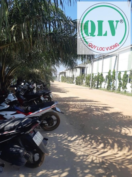 Bán đất có xưởng chủ trương làm Gỗ DT 27,5ha ở Xuân Lộc, Đồng Nai.