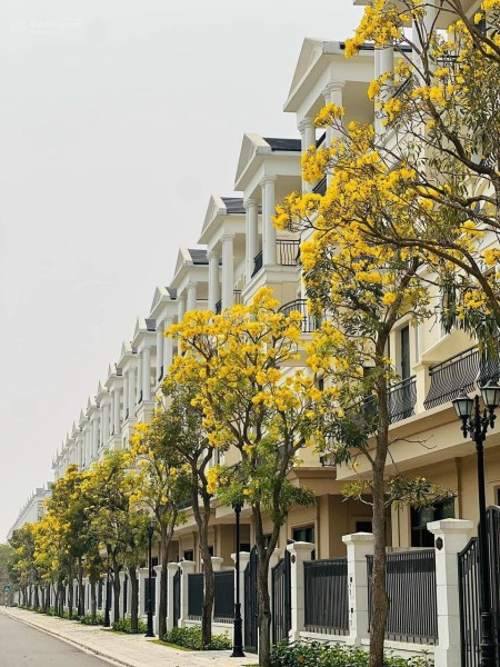 Phòng kinh doanh Vinhomes ra mắt quỹ căn ck lên tới 26%, giá k chênh, lh 0964561239