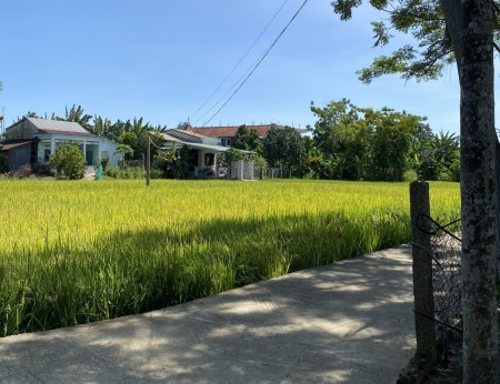 Cần bán cặp liền kề mặt tiền đường Điện Bàn giá chỉ 490 triệu