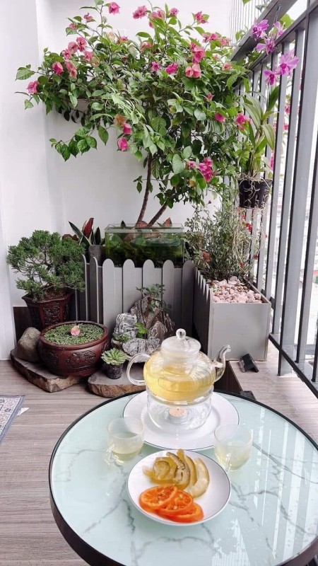 Đi đến slide 2